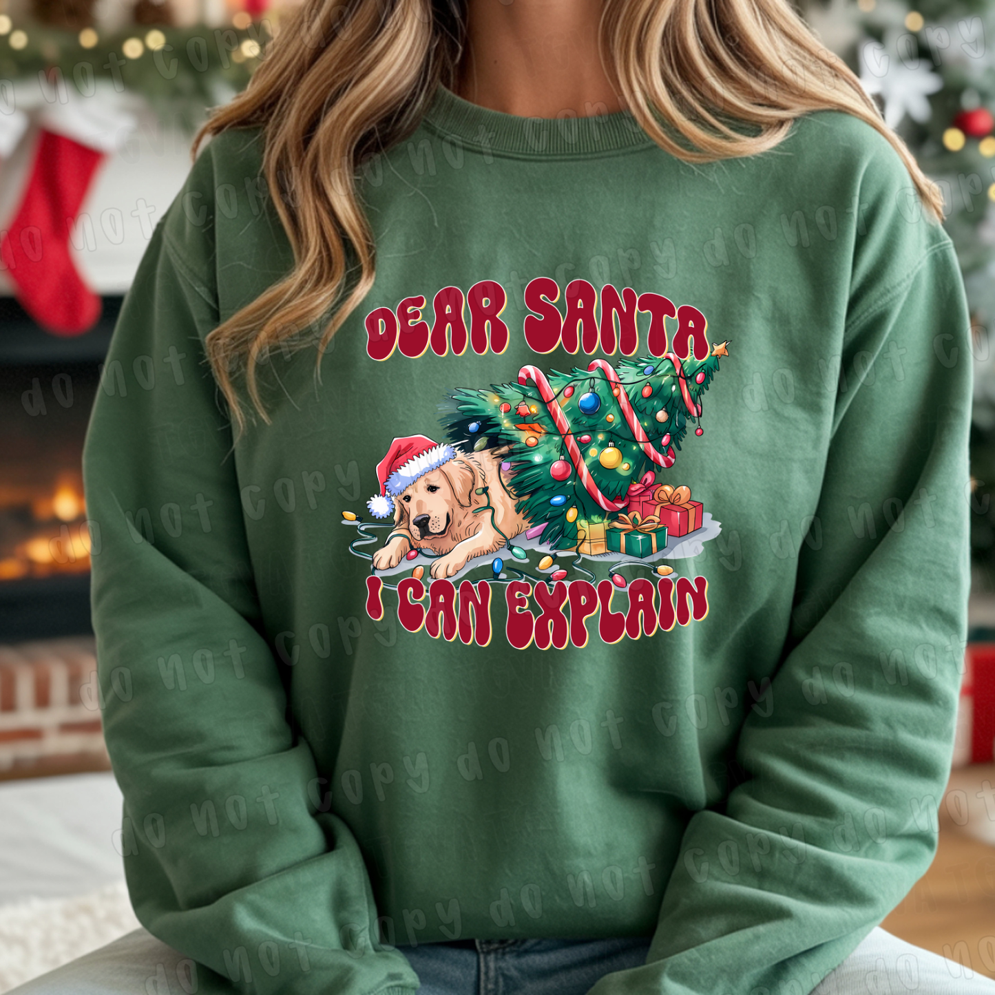 DTF TRANSFER Dear Santa I Can Explain