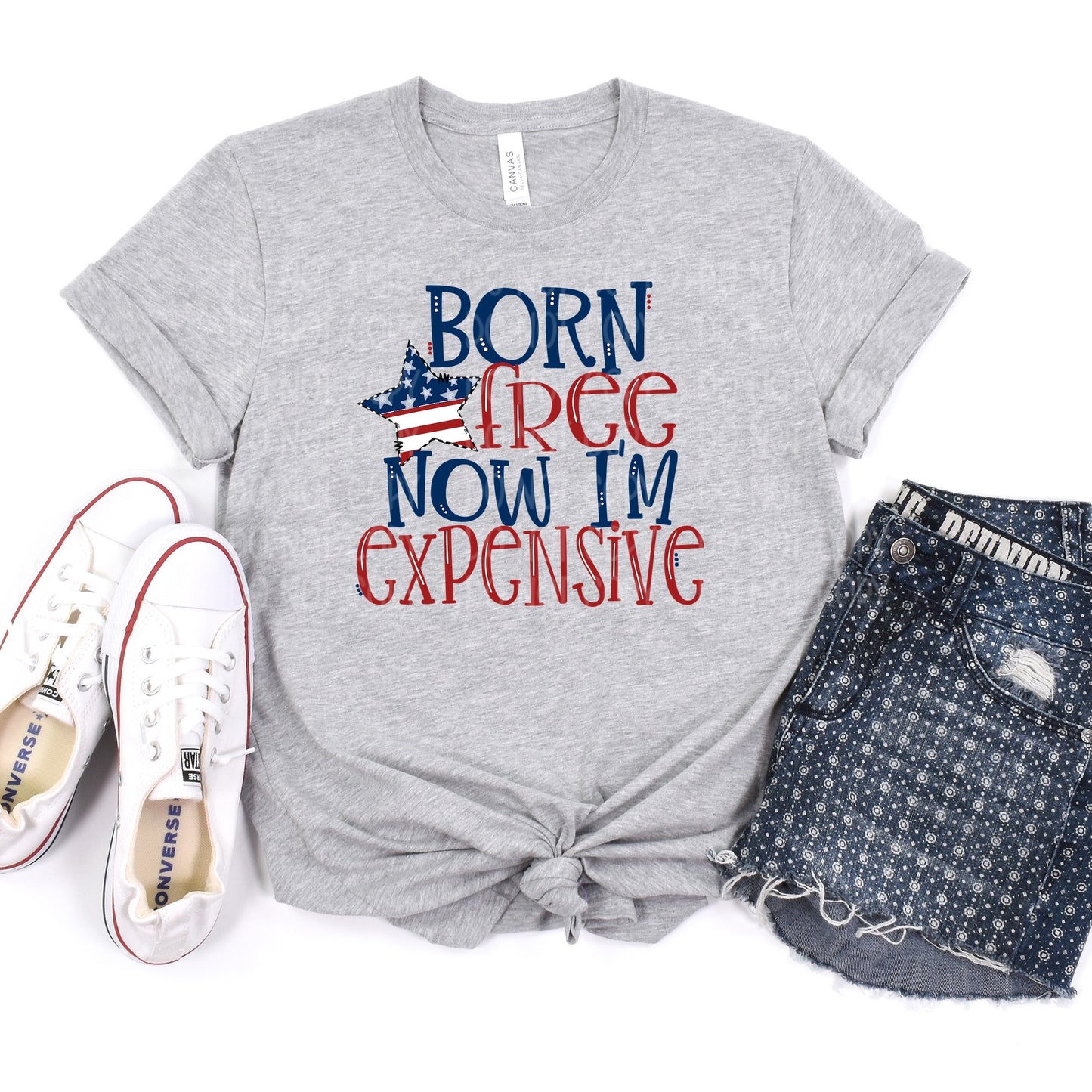 DTF TRANSFER Born Free, Now I'm Expensive