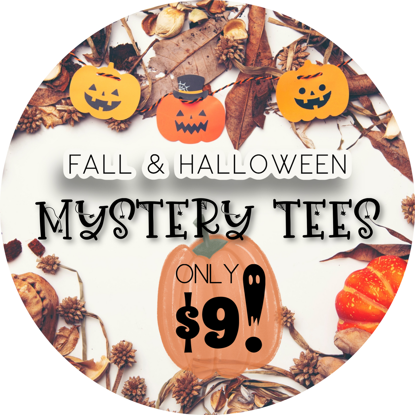 Fall & Halloween Mystery Tees