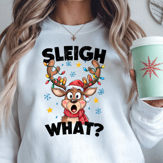 DTF TRANSFER Sleigh What?