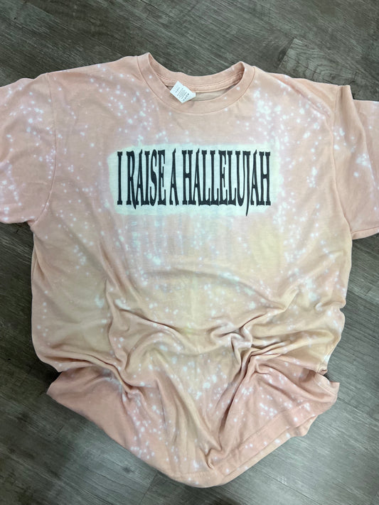 Raise A Hallelujah Bleached