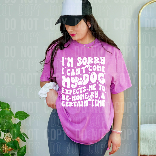 DTF TRANSFER I'm Sorry My Dog